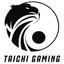 Taichi Gaming