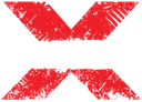 Team X