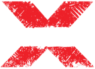 Team X