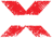 Team X