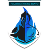 Flaming Cyborg Bravo