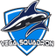 Vega Academy