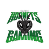 Black Hornets Gaming