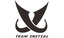 Team initial
