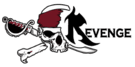 Revenge Gaming