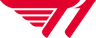 T1