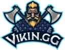 ViKin.gg