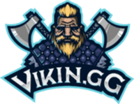 ViKin.gg
