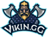 ViKin.gg