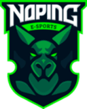 NoPing e-sports