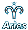 Aster.Aries