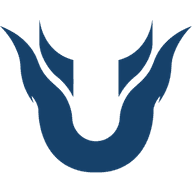 Team Unique