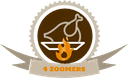 4 Zoomers