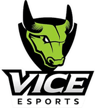 Vice Esports