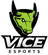 Vice Esports
