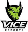 Vice Esports