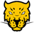 Jaguares Esports
