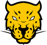 Jaguares Esports
