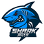 Shark Boys