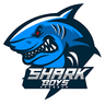 Shark Boys