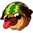 Perro Sandia