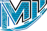 Team M11