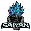 Team Saiyan