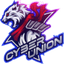 Cyber Union