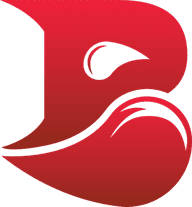 Bleed Esports