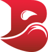 Bleed Esports