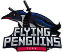 Flying Penguin