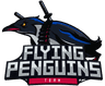 Flying Penguin
