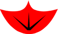 Cyber Goose