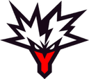 Team Yandex