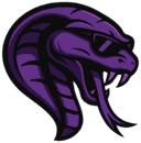Team Cobra