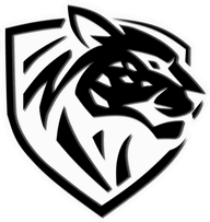 Ilbirs eSports