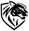 Ilbirs eSports