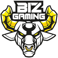 Biz Gaming