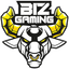 Biz Gaming