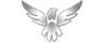 Wings Gaming