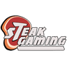 STEAK GAMING