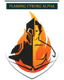 Flaming Cyborg Alpha