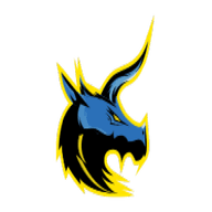 Fantastic Gaming Dota Team