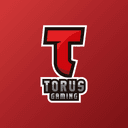 TORUS GAMING