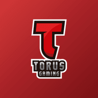 TORUS GAMING