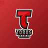 TORUS GAMING