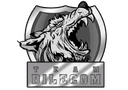 Team Dilecom