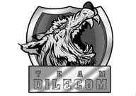 Team Dilecom