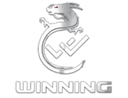 Winning Gaming