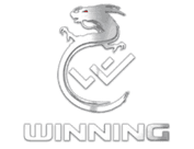 Winning Gaming